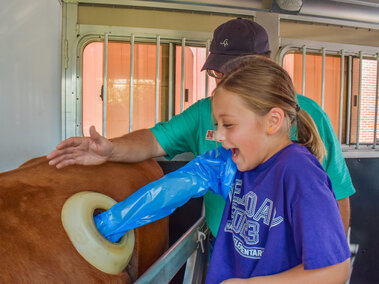 Elementary student participating in the Husker Beef Lab